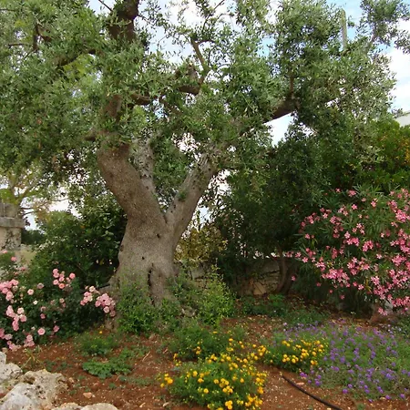 Masseria Serio Locorotondo