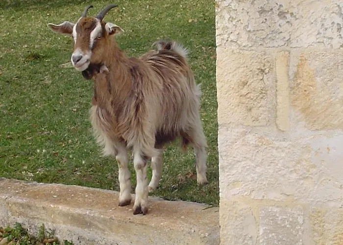 Masseria Serio 아파트호텔