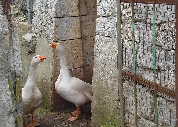 Masseria Serio 3* 로코로톤도