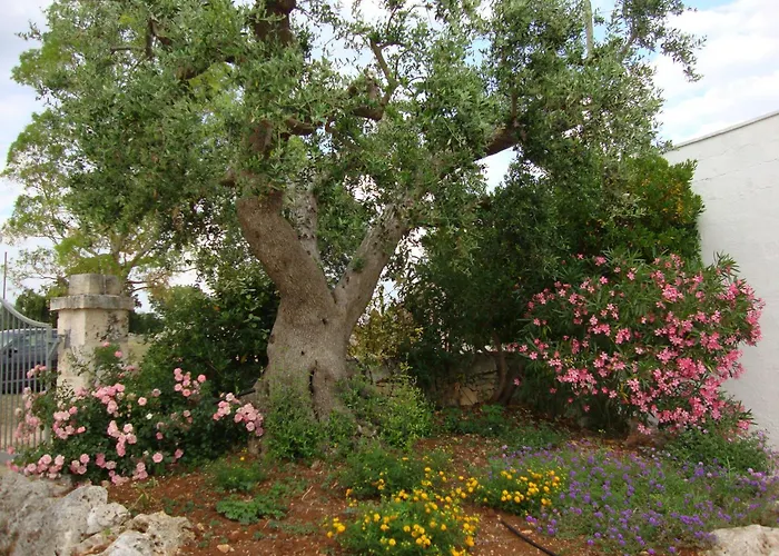 Masseria Serio 로코로톤도